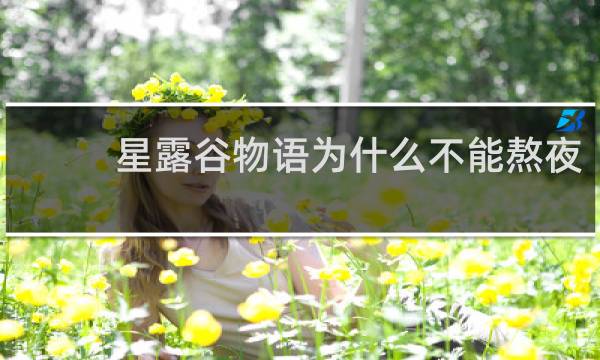 星露谷物语为什么不能熬夜