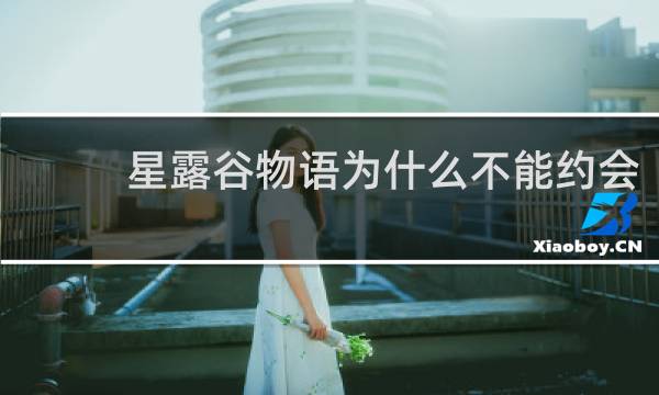 星露谷物语为什么不能约会