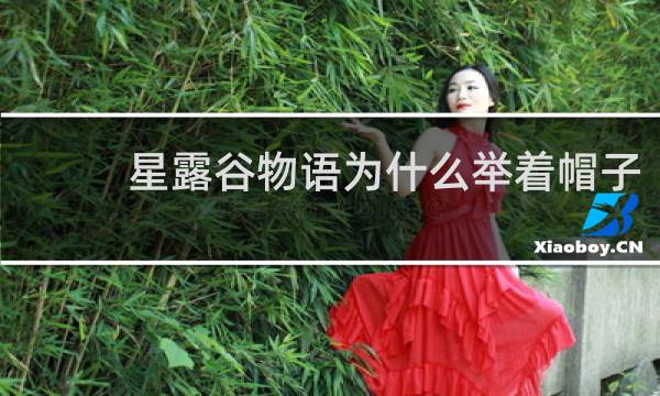 星露谷物语为什么举着帽子