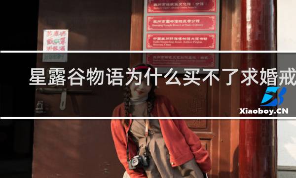 星露谷物语为什么买不了求婚戒指