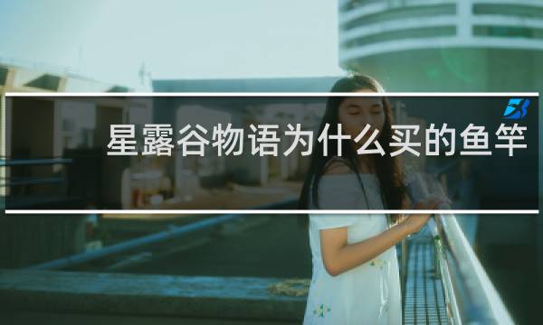 星露谷物语为什么买的鱼竿