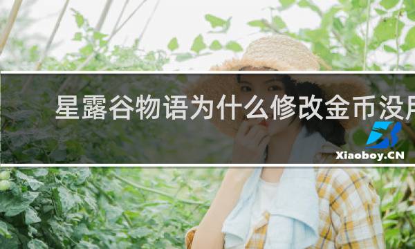 星露谷物语为什么修改金币没用