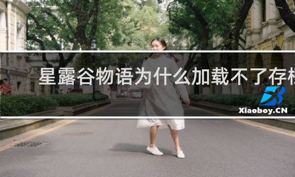 星露谷物语为什么加载不了存档