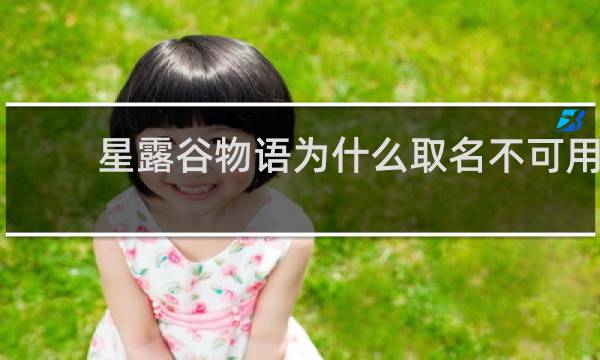 星露谷物语为什么取名不可用
