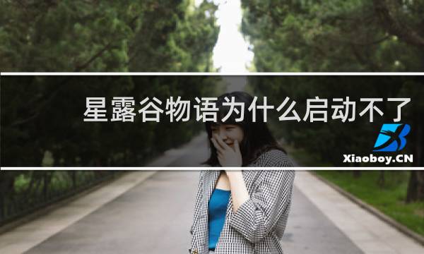 星露谷物语为什么启动不了