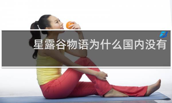 星露谷物语为什么国内没有