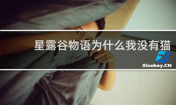 星露谷物语为什么我没有猫