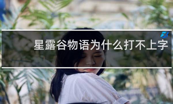 星露谷物语为什么打不上字