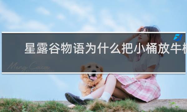 星露谷物语为什么把小桶放牛棚