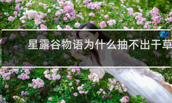 星露谷物语为什么抽不出干草