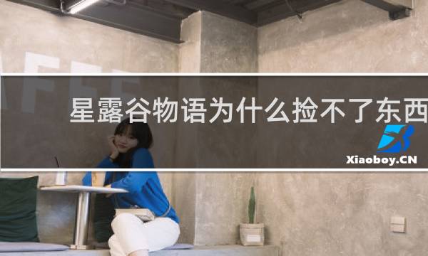 星露谷物语为什么捡不了东西