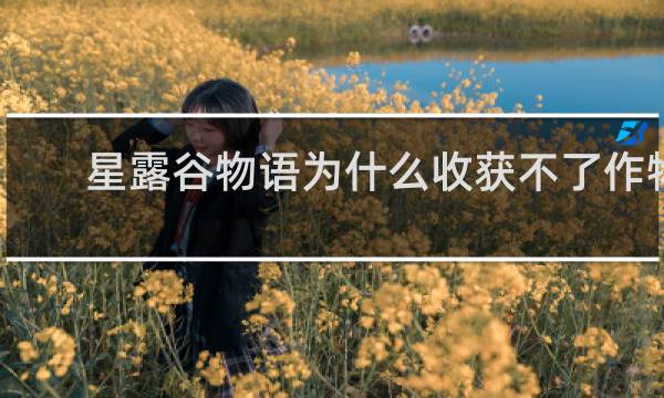 星露谷物语为什么收获不了作物