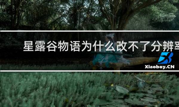 星露谷物语为什么改不了分辨率