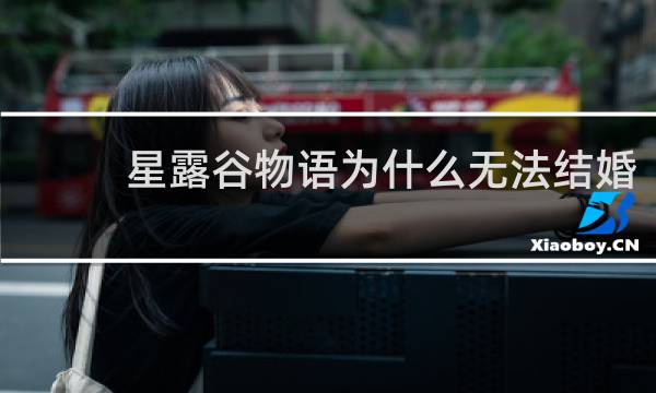 星露谷物语为什么无法结婚