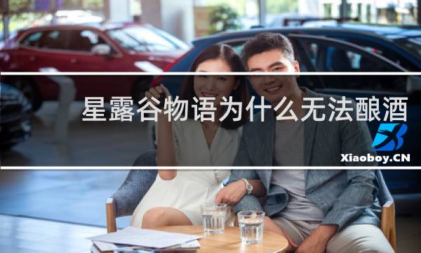 星露谷物语为什么无法酿酒