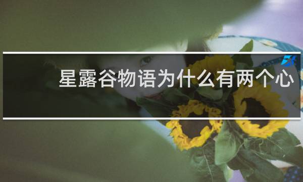 星露谷物语为什么有两个心