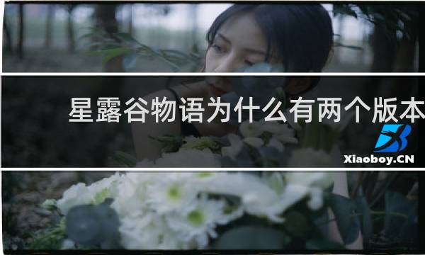 星露谷物语为什么有两个版本