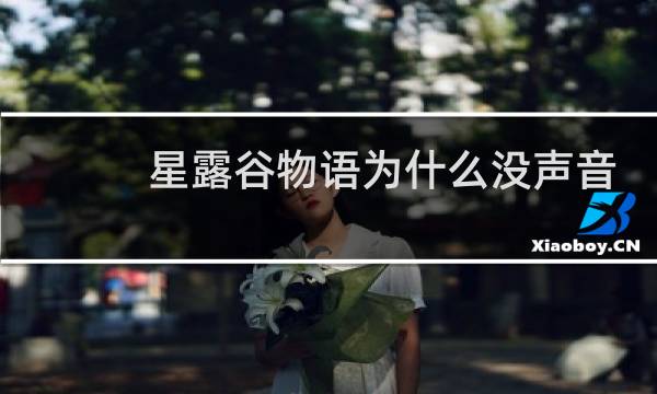 星露谷物语为什么没声音