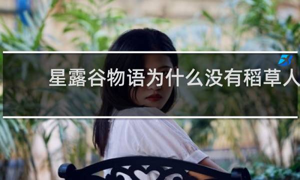 星露谷物语为什么没有稻草人