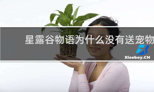 星露谷物语为什么没有送宠物