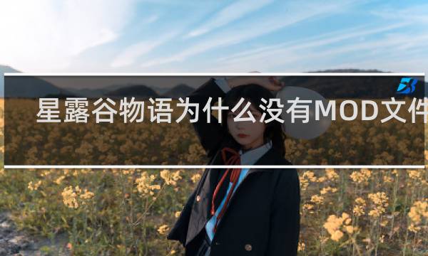 星露谷物语为什么没有MOD文件夹