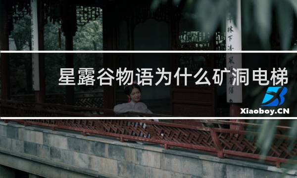 星露谷物语为什么矿洞电梯