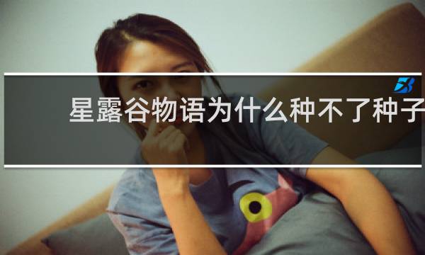 星露谷物语为什么种不了种子