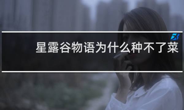 星露谷物语为什么种不了菜