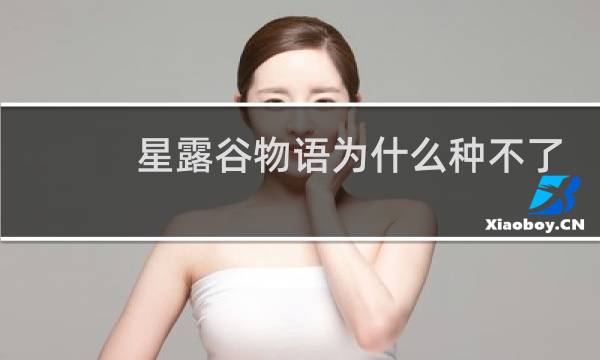 星露谷物语为什么种不了