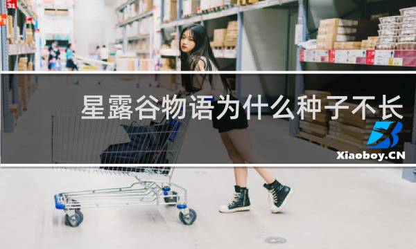 星露谷物语为什么种子不长