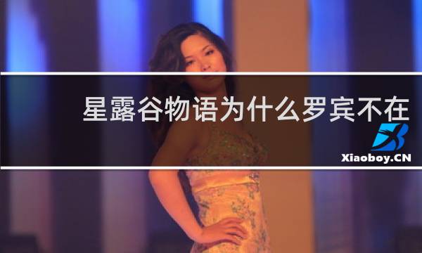 星露谷物语为什么罗宾不在