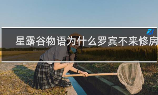 星露谷物语为什么罗宾不来修房子