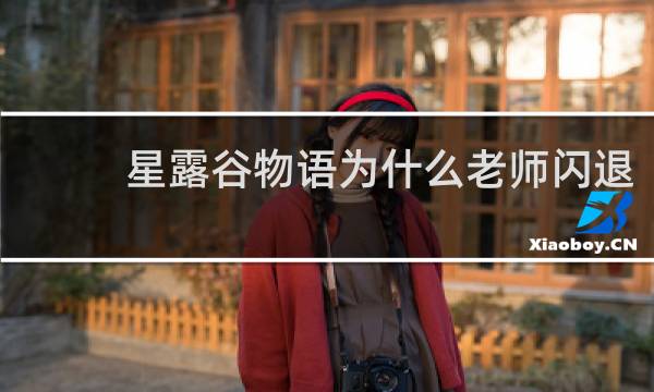 星露谷物语为什么老师闪退
