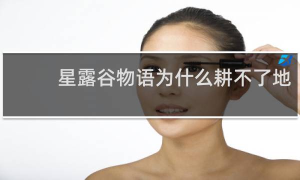 星露谷物语为什么耕不了地