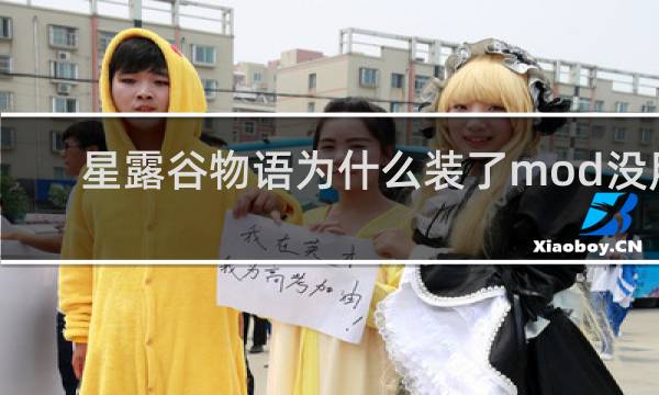 星露谷物语为什么装了mod没用