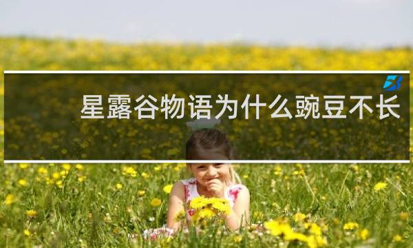 星露谷物语为什么豌豆不长