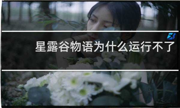 星露谷物语为什么运行不了