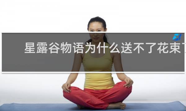 星露谷物语为什么送不了花束了