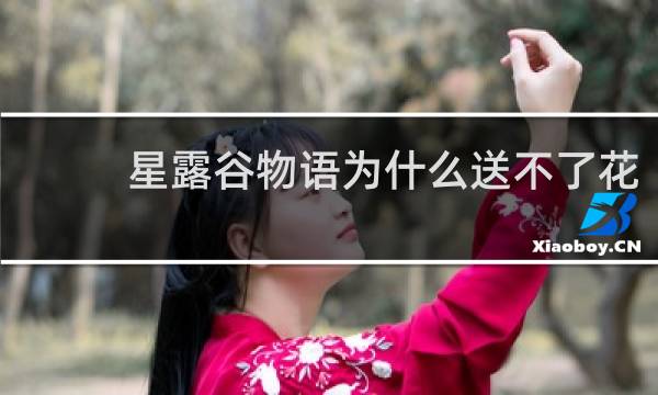 星露谷物语为什么送不了花