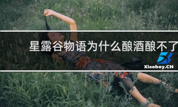 星露谷物语为什么酿酒酿不了