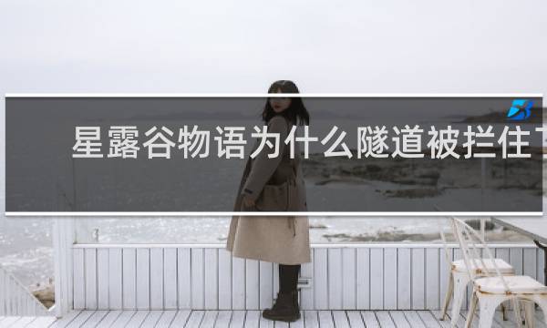 星露谷物语为什么隧道被拦住了