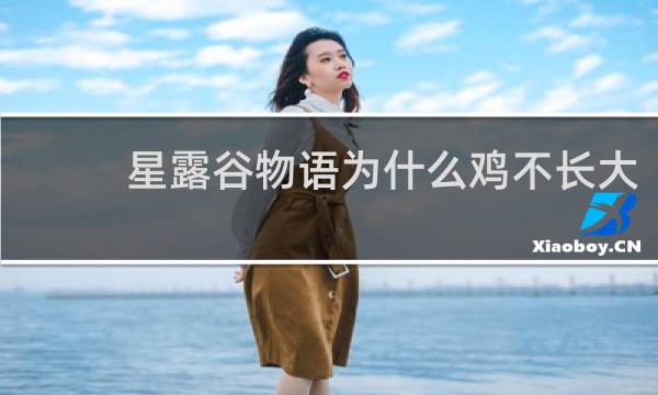 星露谷物语为什么鸡不长大