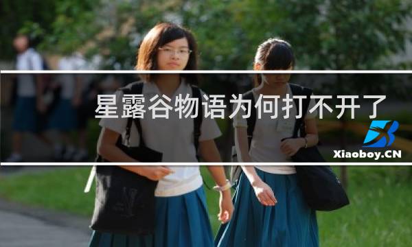 星露谷物语为何打不开了