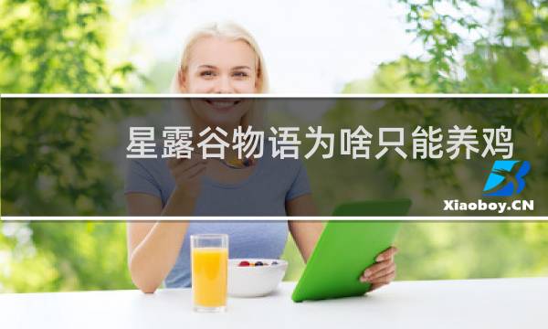 星露谷物语为啥只能养鸡