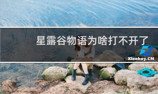 星露谷物语为啥打不开了