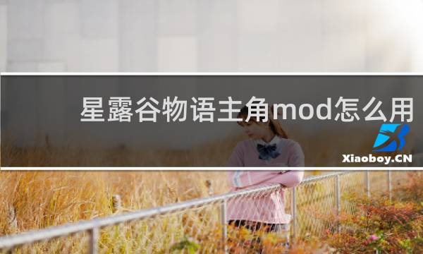 星露谷物语主角mod怎么用