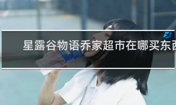星露谷物语乔家超市在哪买东西