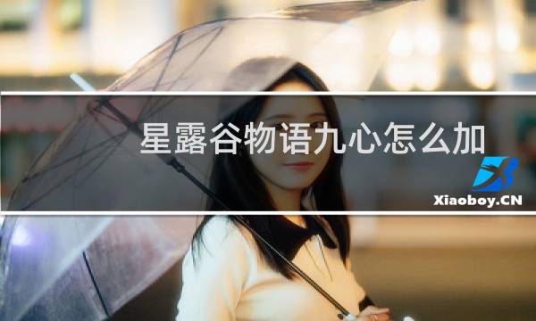 星露谷物语九心怎么加