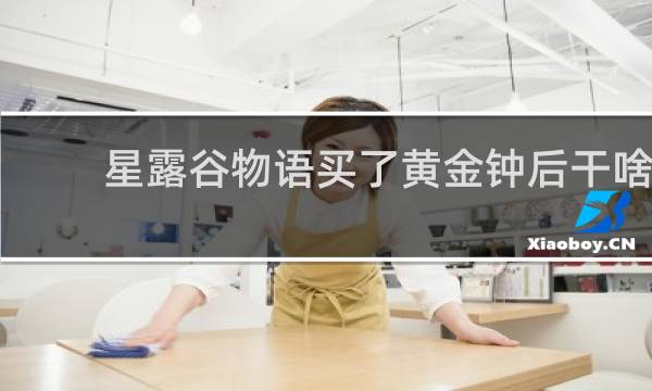 星露谷物语买了黄金钟后干啥