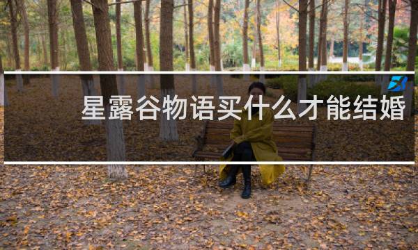 星露谷物语买什么才能结婚